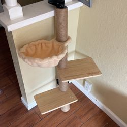 Cat Scratcher