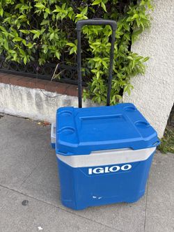 Igloo Cooler 