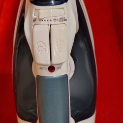 Rowenta Steam Iron Stainless Steel 