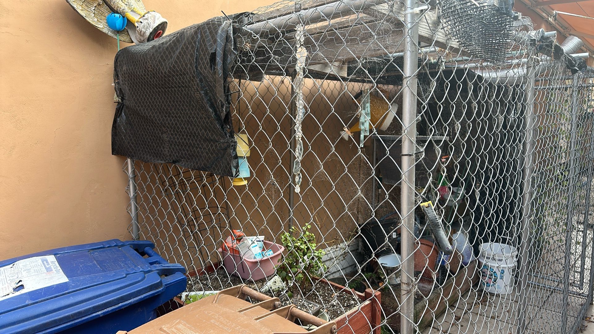 Dog Kennel