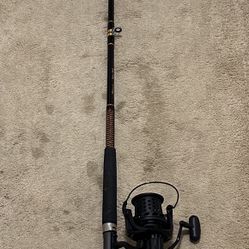 Fishing Rod N Reel