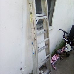 Werner 6ft Ladder 