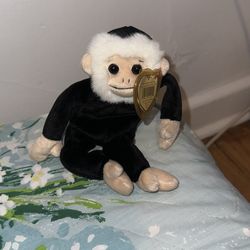 Mooch Ty Monkey 