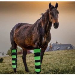 WORLD-BIO All Black- Horse Leg Ice Packs Cooling Wrap for Horse Injuries, Set of 2., Black.