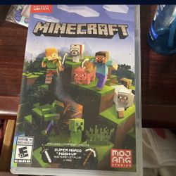 Minecraft