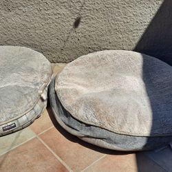 Large Dog Beds