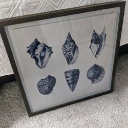 Ocean Sea Shell Framed Picture 