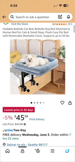 Bedside Pet Bed