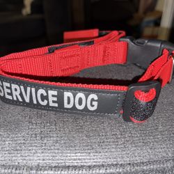 Dog Collar