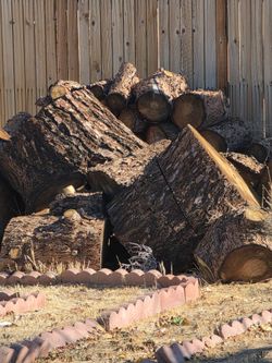 Large Cut Firewood Logs Pile