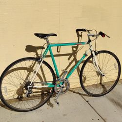 Centurion Dave Scott Bike