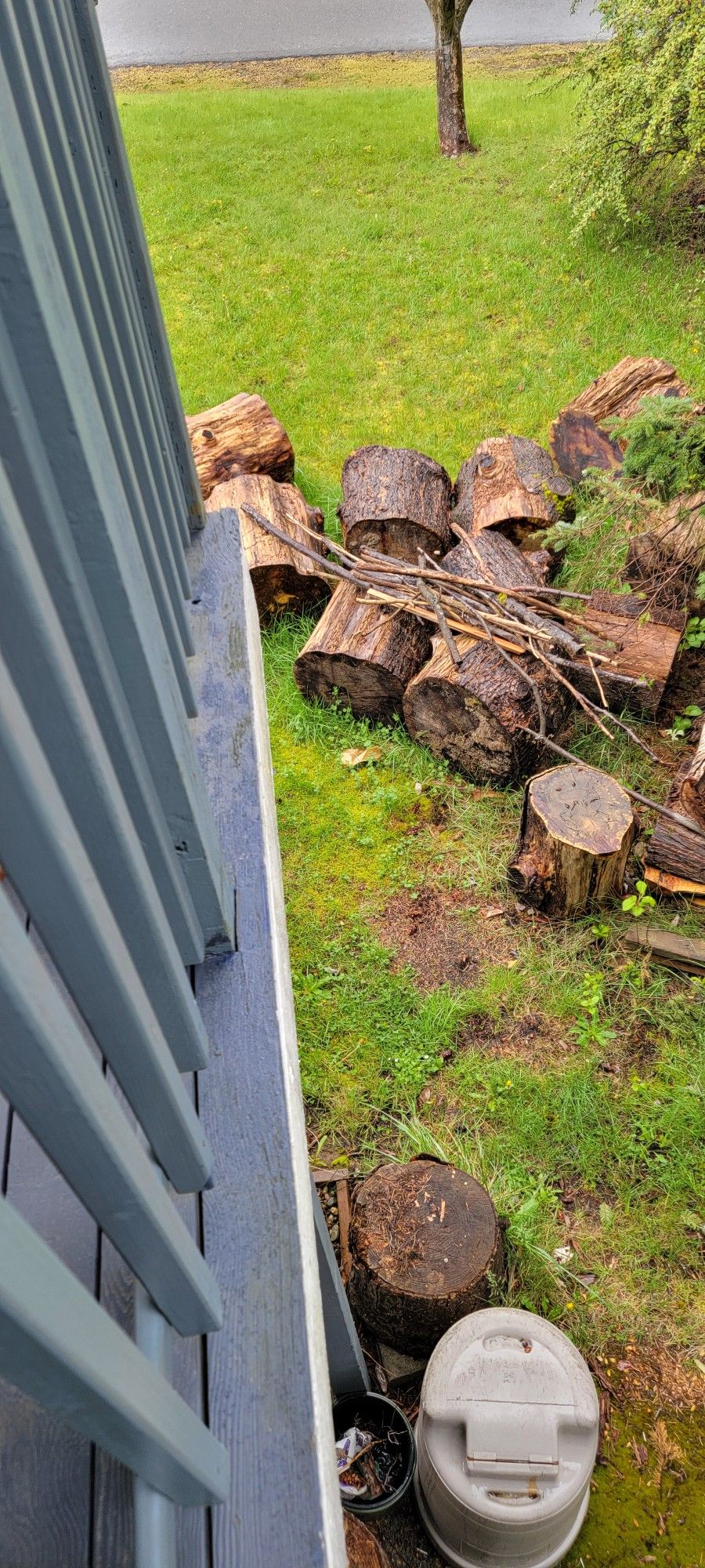 Firewood