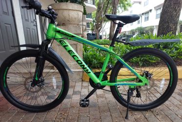 Elecony 24" wheel bike.