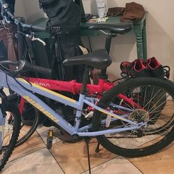 Nishiki Bike 24