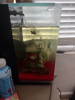 Two fish tanks rimless