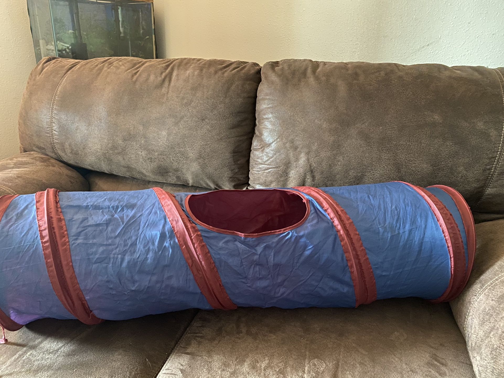 Cat Toy
