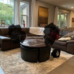 Large Brown Couch $50