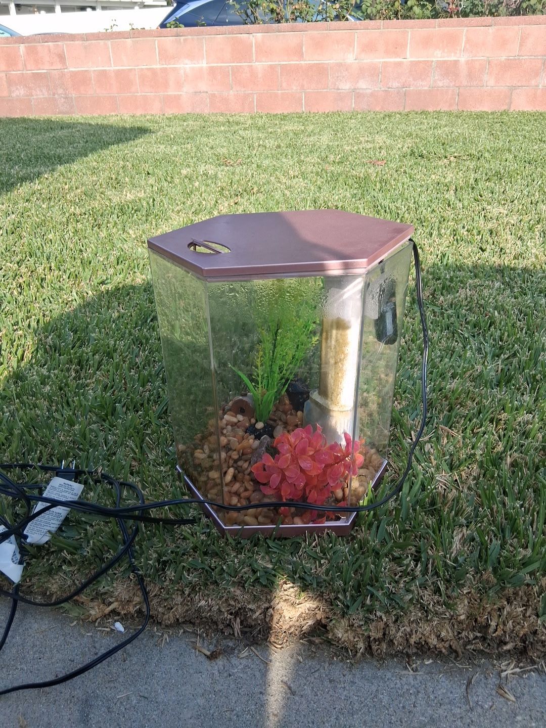 5 gallon Fish 🐟 Tank