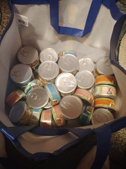 Cat food