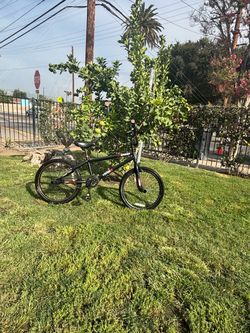 20 INCH KIDS BMX HYPER SPINNER BIKE