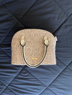 Aldo’s bag/purse