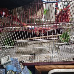 Big Bird Cage With Accessories