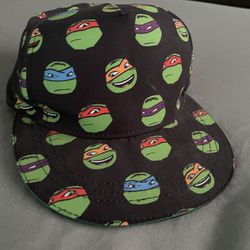 Teenage Ninja Turtle hat $5