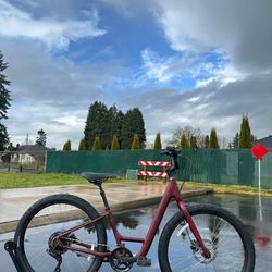 Specialized Roll 3.0 Low-Entry Comfort Hybrid Bike (Step-Thru) Aluminium Bicycle Disc Small Frame