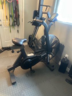 Rogue echo bike