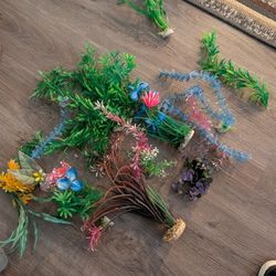 Aquarium Plants