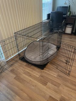 Dog Kennel 