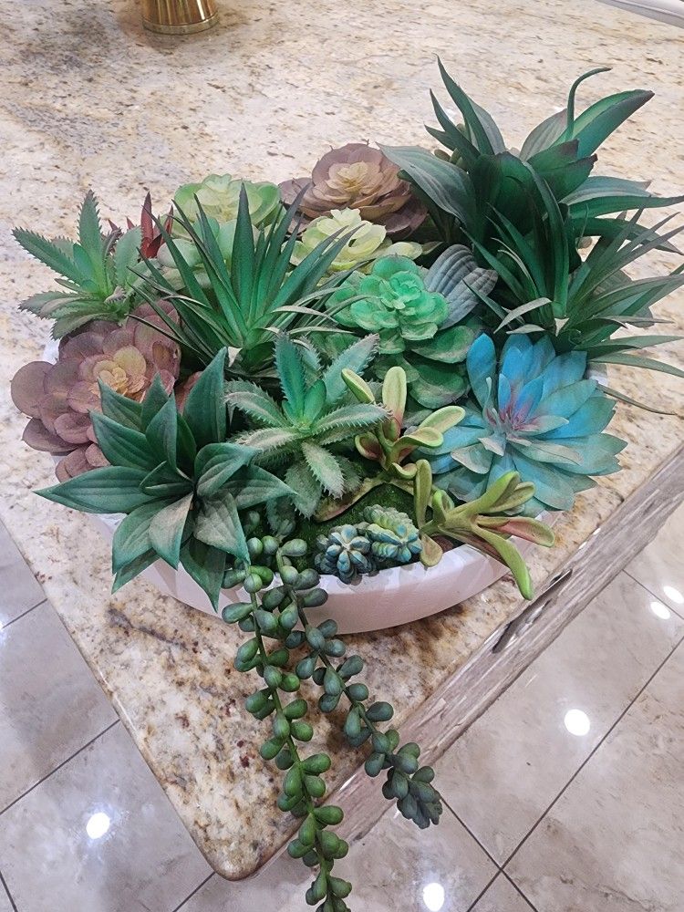 Decore Succulent