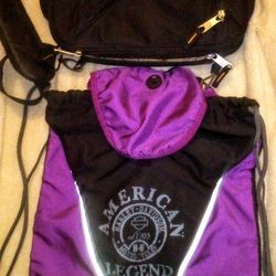 2 Harley Davidson Bags 