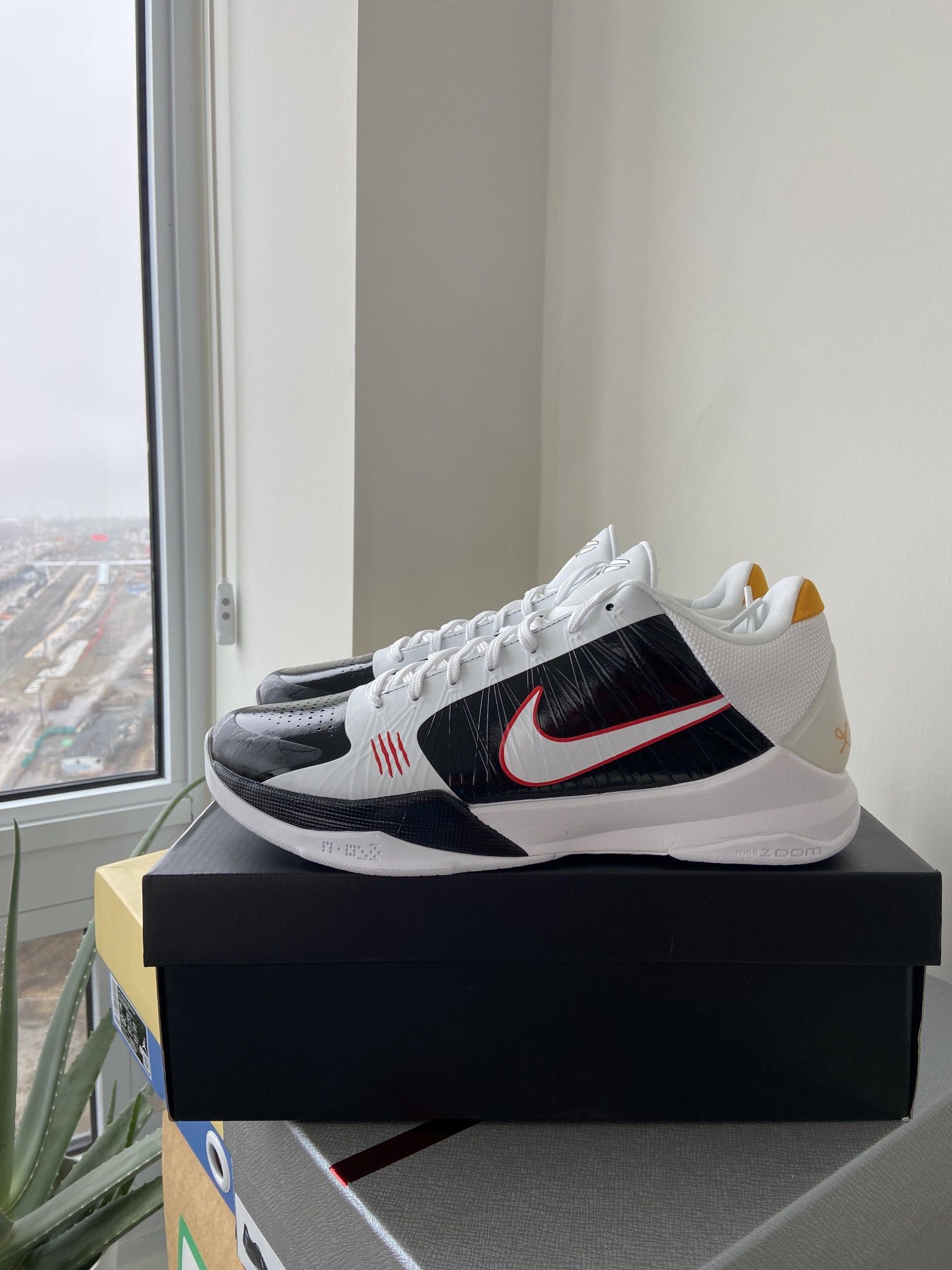 Kobe 5 Protro Bruce Lee Reverse