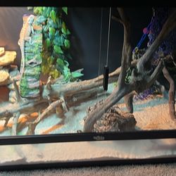 120 Gallon Enclosure 