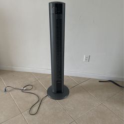 Fan