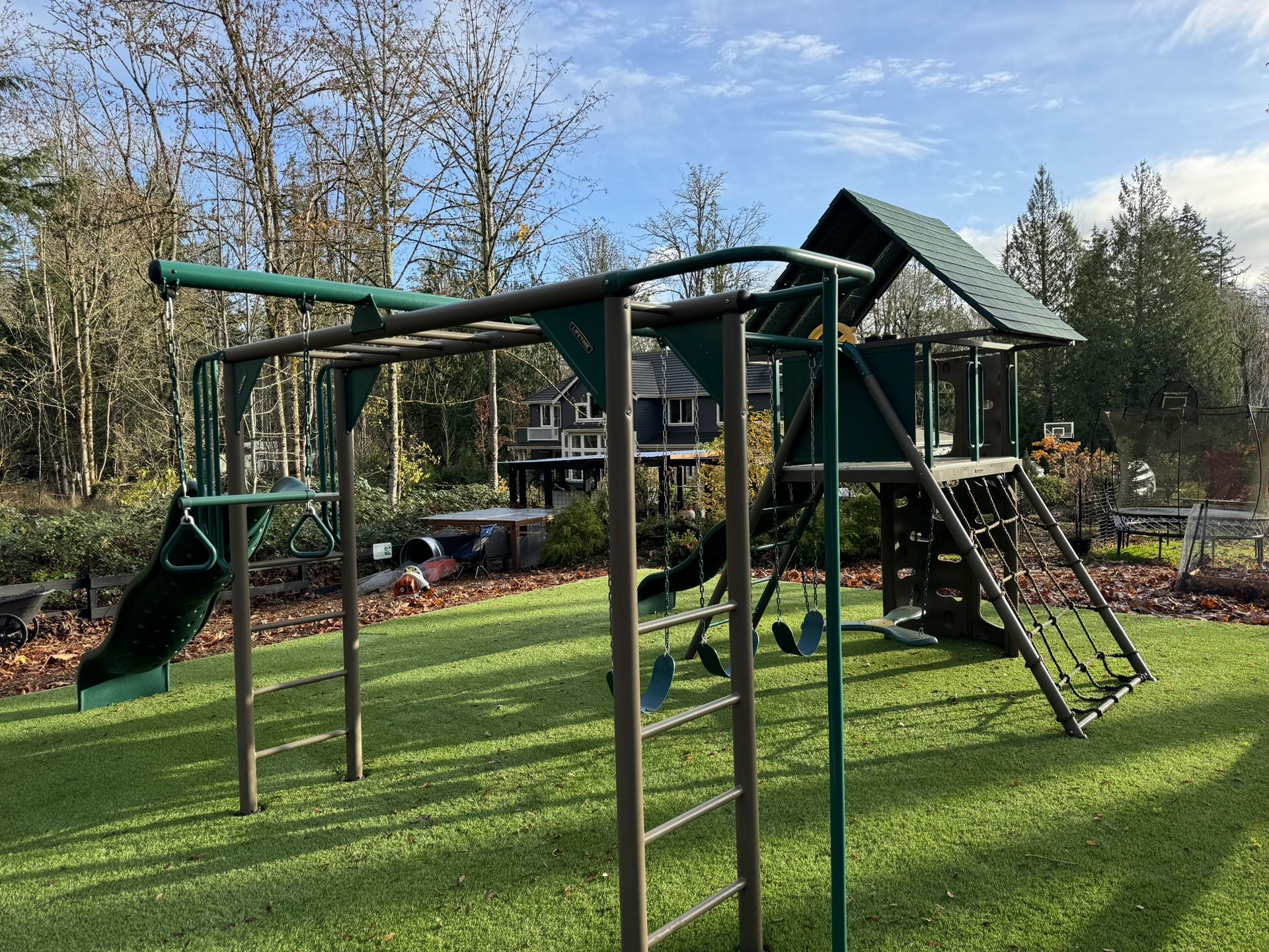 Lifetime Swingset 
