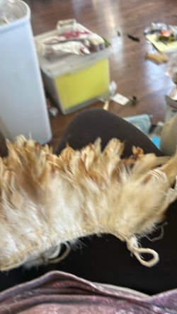 feather Trim Tribal Feathrrs