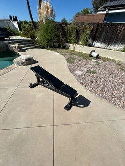 Rogue adjustable bench, Paramount lat pull machine, Lever Squat Machine, Olympic Bars, Free Weights