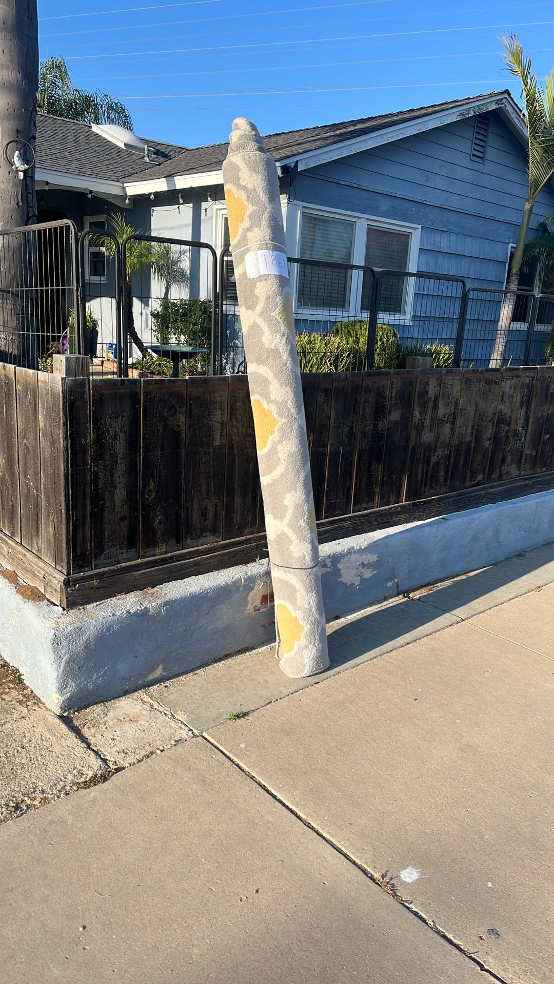 Free Rug