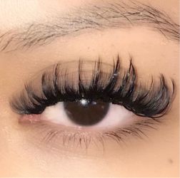 Lashes