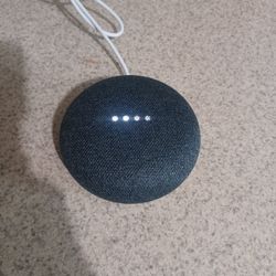 Google Mini Home Assistant