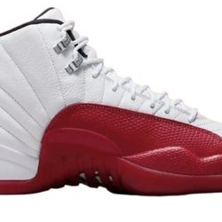 Jordan Retro 12s 