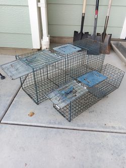 Live Traps