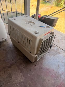 Pet porter  make offer