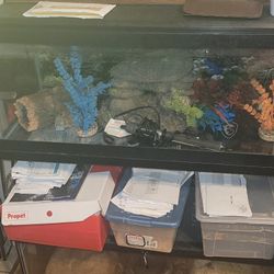 20 Gallon Complete Set Up 