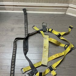 DBI-SALA Safety Harness