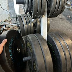Weight plates (405Lbs Total)