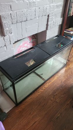55 Gallon Fish Tank