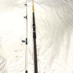 Like New Sea Striker BS9WCT 9 foot two piece, medium action fishing rod